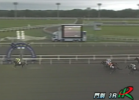 �X�e���C���x���b�^���@�b�S�|�R�@�D���@7/10�@���