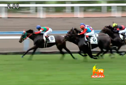 �T�����C�Y�W���p�����@3�� �������@3���@8/10�@���q