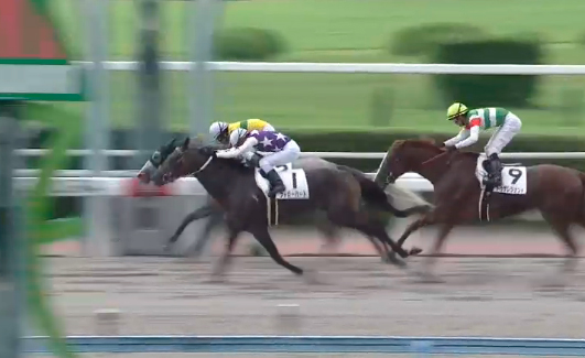 �t�H���[�n�[�g���@3�Ώ�@2���@8/31�@���q