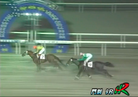 �X�e���C���x���b�^���@�`���������W�ÊJ�݂P�O���N�܁@�b�R  �@�D���@9/3�@���