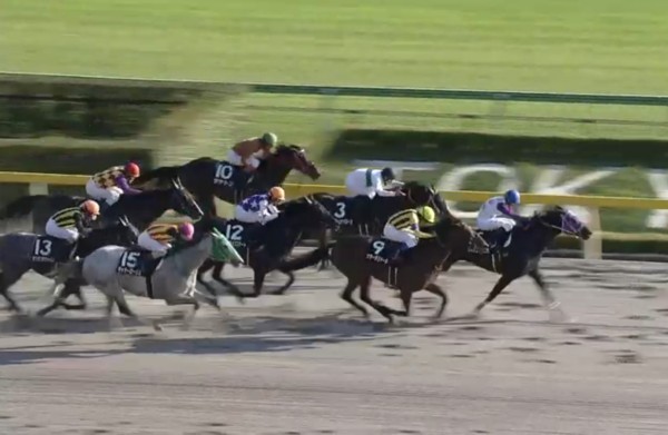 �T�����C�Y�X�}�[�g���@�ԕx�mS�@�P6�O�O�����@3���@10/19�@����