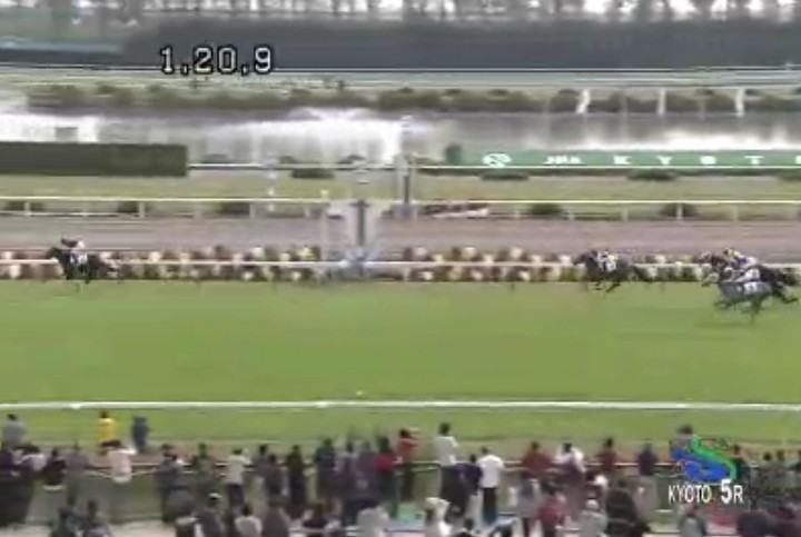 �t�H���[�K�[�l�b�g���@���C�N�f�r���[���s�@2���@11/8