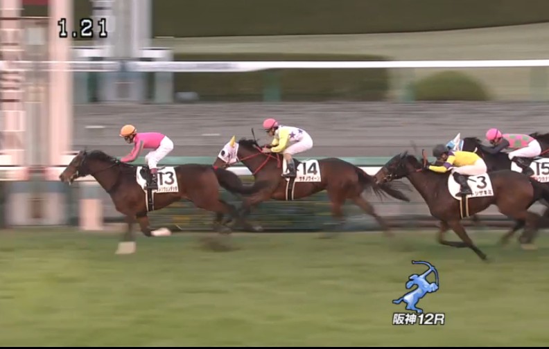 �g�V�U�L�~���@3�Έȏ�1000�����@3���@12/6�@��_