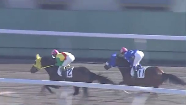 �A���~�T�G�����@�T���n�R�΁@��O�@�D���@12/9�@�Y�a