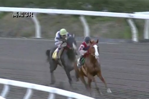 �x�C�����O�{�[�C���@�b�R�|�P�S�@�D���@12/23�@���m