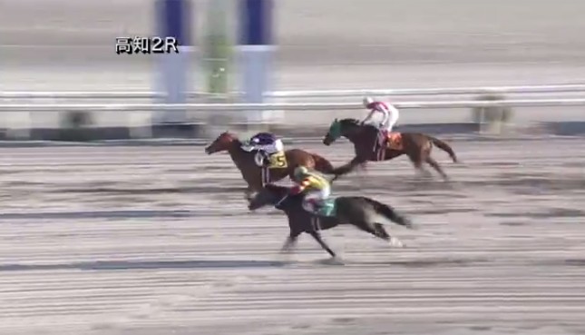 �x�C�����O�{�[�C�� �b�R�|�X�@�D���@2/10�@���m