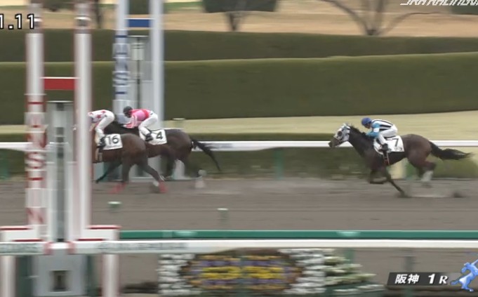 �h���X���@3�Ζ������@3���@�@��_�@3/1