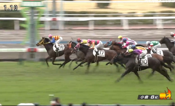 �g�V�X�g�����O���@4�Ώ�500�����@2���@���q�@�@3/1�@