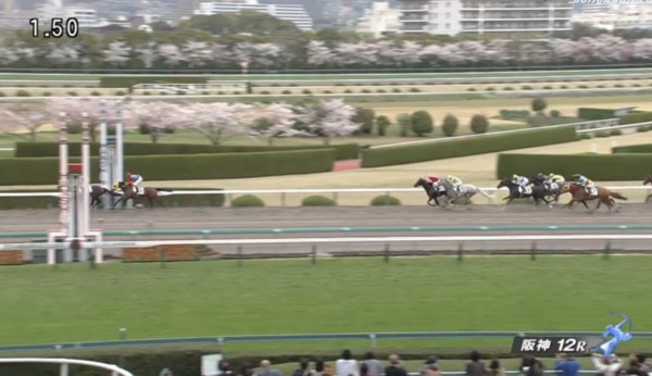 �I�E�P���S�[���h���@1000�����@3���@4/4�@��_