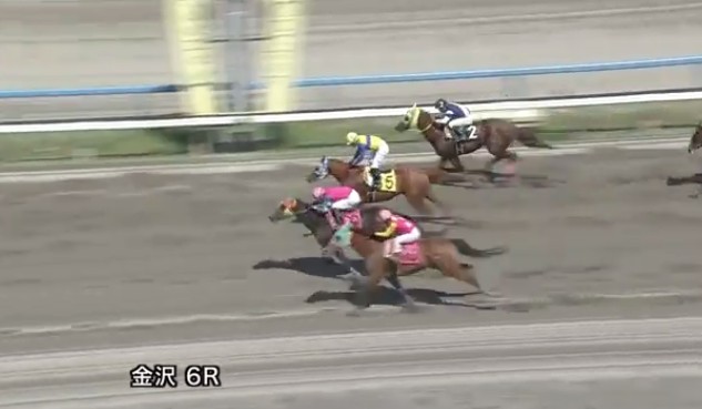 �S�[���f�����[�t���@�b�P�|�U�@�D���@5/17�@����