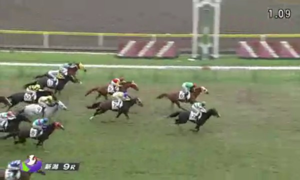 �g�V�X�g�����O���@�S�Ώ�T�O�O�����@3���@�V���@5/16�@