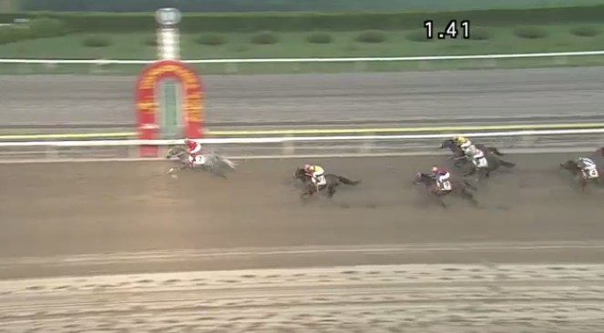 �n�C�p���[���@�b�P�l�܁@�D���@5/20�@���