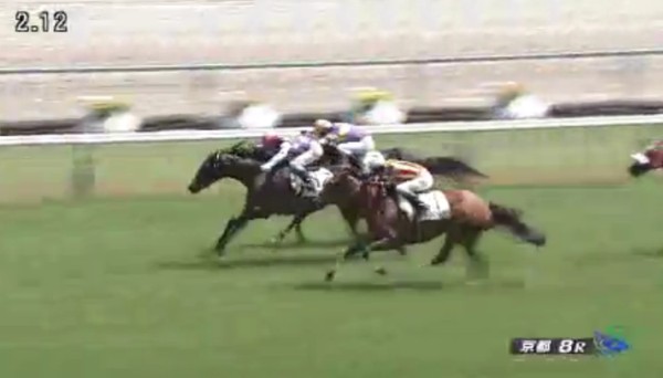 �T�����C�Y�W���p�����@�S�Ώ�T�O�O�����@�D���@5/24�@���s