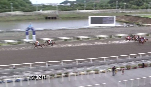 �g�V�t�F�A���[���@�b�R�C�@�D���@6/20�@���m