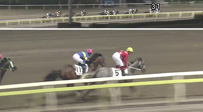 �n�C�p���[���@�b�P��@�D���@6/23�@���