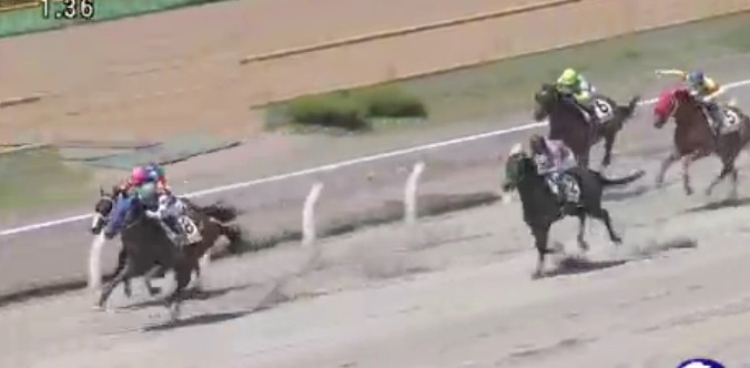 �t�H���[�K�[�l�b�g���@3�Ζ������@�D���@7/12�@����