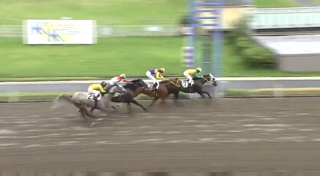 �A���~�T�G�����@�b�Q�O�l�@�D���@8/17�@���