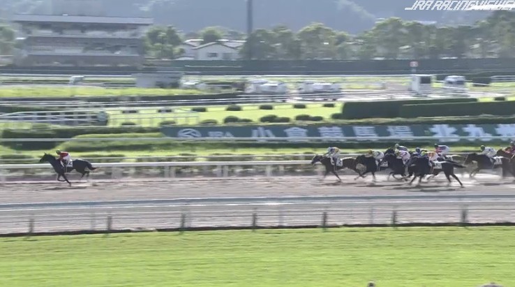 �I�E�P���S�[���h���@3�Ώ�500�����@�D���@8/26�@���q