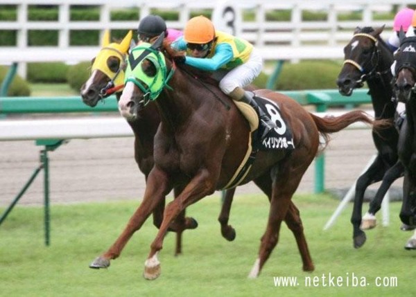 �x�C�����O�{�[�C���@������S�@��1200����3���I