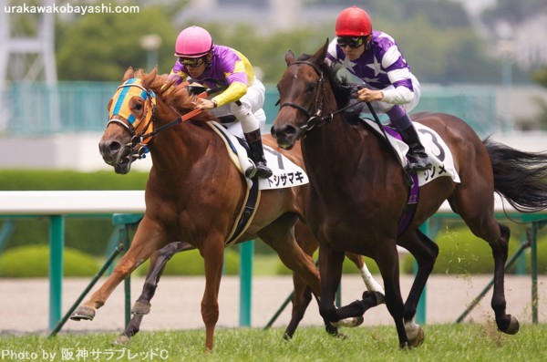 �g�V�U�}�L���@���_�[�g3������