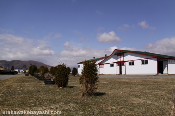 ���g�[�k�^�L�I�����@3�Ζ������@�D���@�@4/24