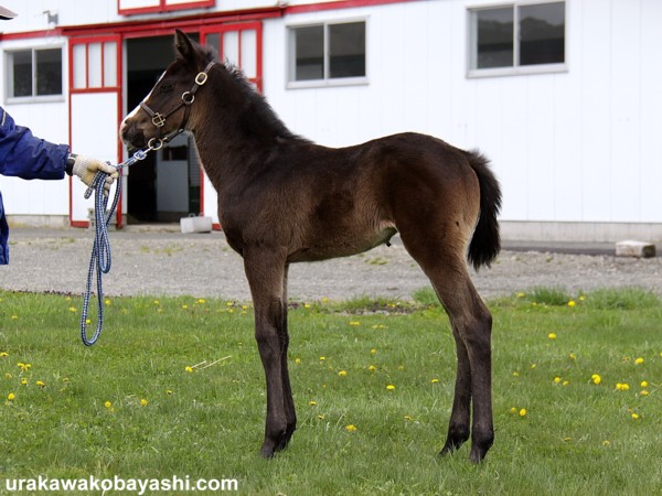 �^�C���q���C����10