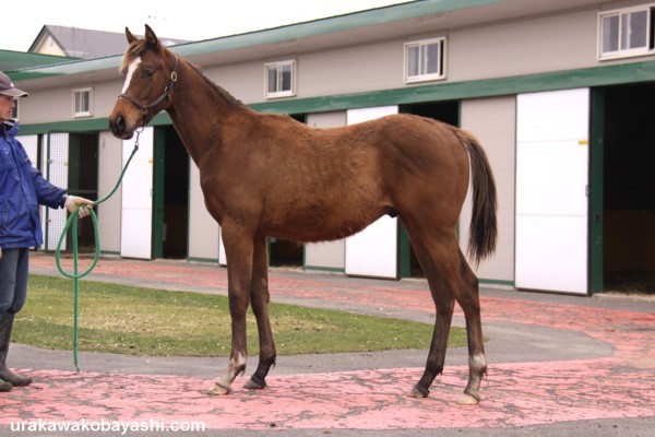 �R���`�J��09�@by�X�Y�J�}���{