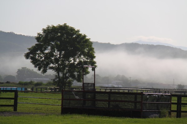 �s�b�`�}�����@�T���n��ʁ@�a�S�R �i����j�@�D��!