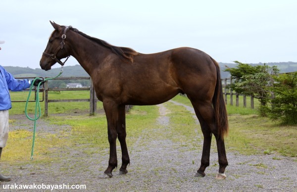 �^�C���q���C����09by*�X�^�`���[�I�u���o�e�B