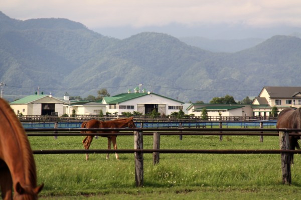 �g�V�L�����f�B���@3�Έȏ�500�����@�D��! ���q9/4