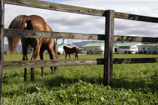 �g�V�A�g�����@�R�΁|�W�g�@�D��! 9/12 ����