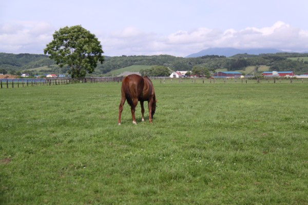 �N�X�R���@�T���n�R�΁@�a�R �@�D��! ���� 9/28