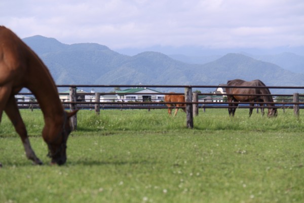 �g�V�U���C�N�u���[���@3�Έȏ�500�����@2���@�D�y 10/2