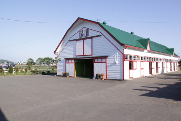 �V���C�j�C�`�J���@�T���n�R�Ώ�@�b�Q�� �@�D���@�@