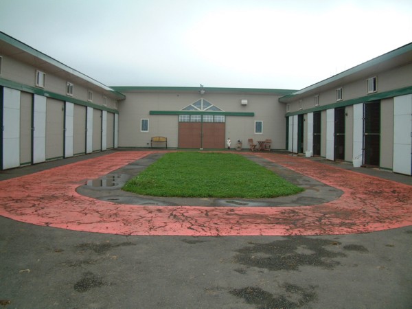 �E�C���y�K�T�X�@�T���n�R�Ώ�@�a�P�a�Q�@�D���@11/10�@���c 