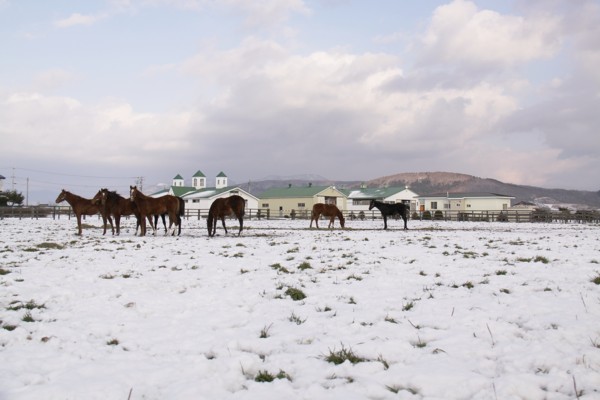 �A�C�V�A�b�e���J�C���@C3��g�@�D��!! 12/08 ���c