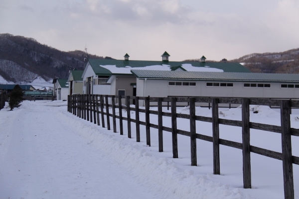 �g�V�U�c���c�����@3�Ζ������@3���E�E