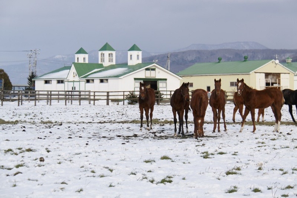 �x�[���O�{�[�C���@ �ɂ���2���@�A�N�A�}����S 1600�����@���R2/27