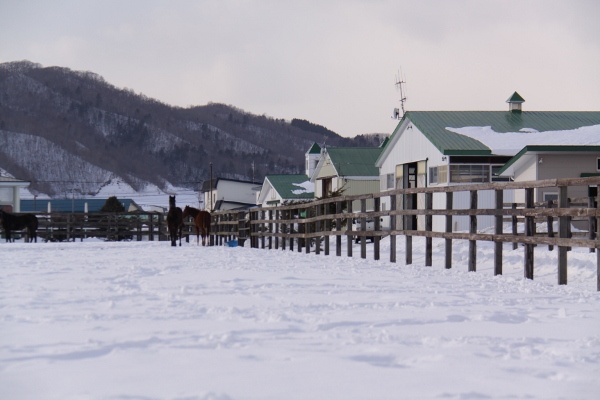 �g�V�U�c���c�����@��_������3���E�E3/6