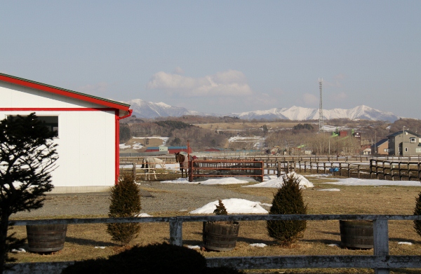 �A�C�V�A�b�e���J�C���@�S�Ώ�@�b�R��@�D���@3/8�@���c