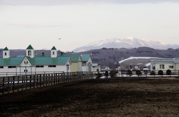 �A�C�V�A�b�e���J�C���@�S�Ώ�@�b�Q��@�D���@3/24�@���c