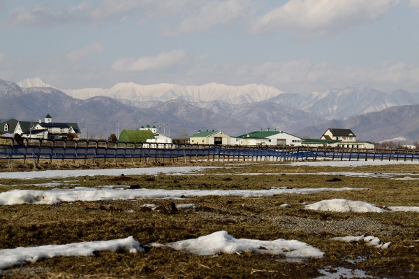 �g�V�U�}�L���@4�Ώ�500�����@�D���@3/27�@���q