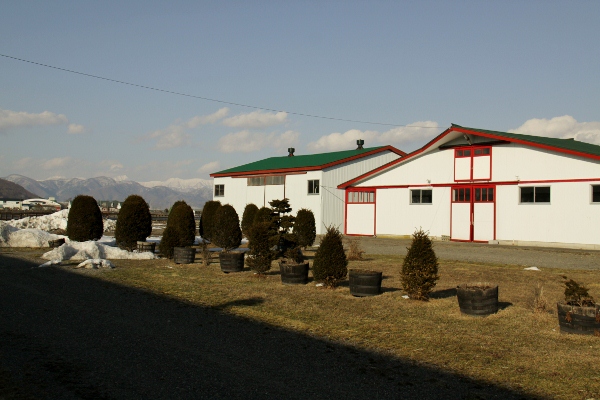 ���g�[�k�y�K�T�X���@3�Ζ������@�D���@4/16�@��_