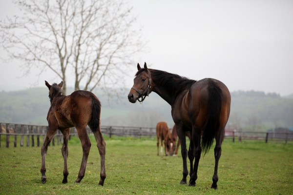 �g�V�U�}�L���@500�����@�D���@6/25�@��_7R